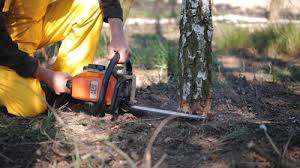 Best Lawn Drainage Solutions  in Falls Church, VA