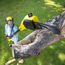 Best Lawn Irrigation Installation and Maintenance  in Falls Church, VA