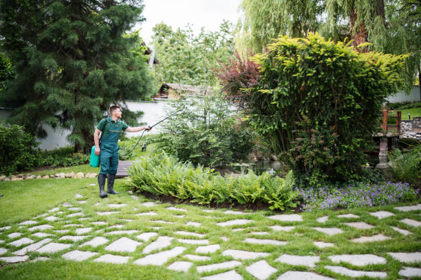 Best Root Management and Removal  in Falls Church, VA